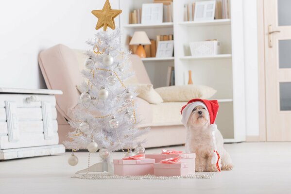 Ambiente blanco de año nuevo con el perro