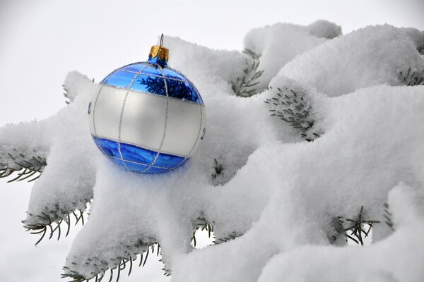 Palla bianca e blu su un ramo di albero di Natale nella neve
