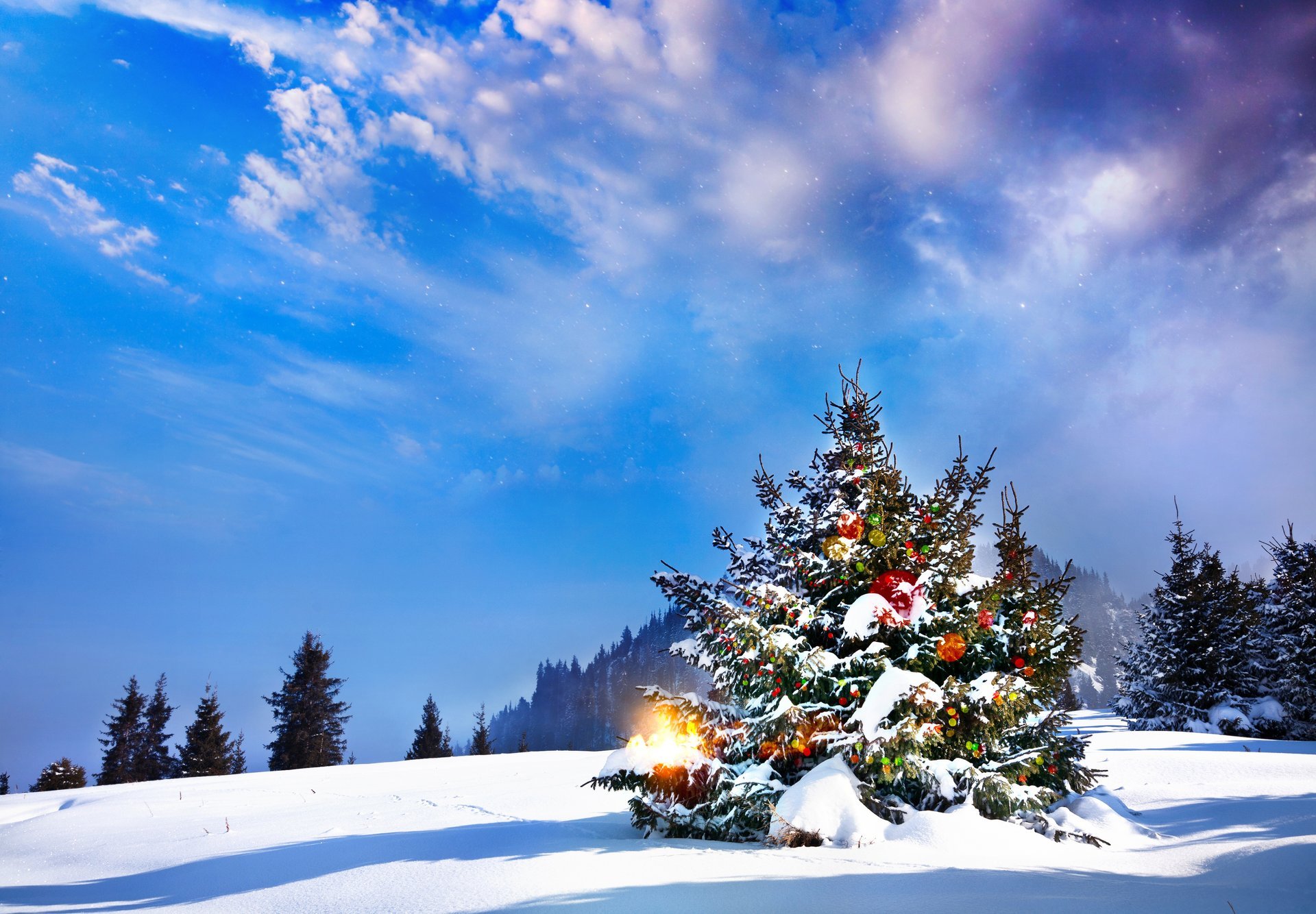 weihnachten baum winter landschaft schnee winter weihnachtsbaum neujahr