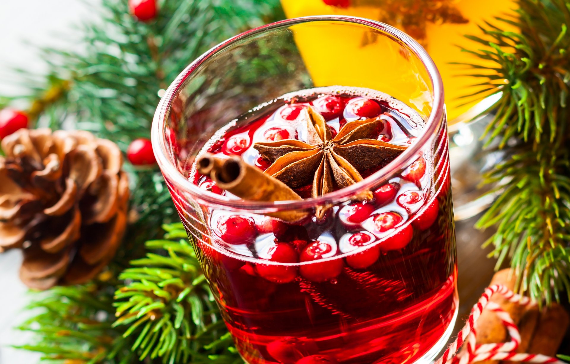 vin brulè bevanda vino bacche spezie bastoncini cannella anice stellato anice stellato rami abete rosso coni vacanze inverno capodanno natale