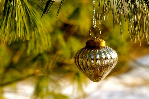 New Year s toy on a pine branch