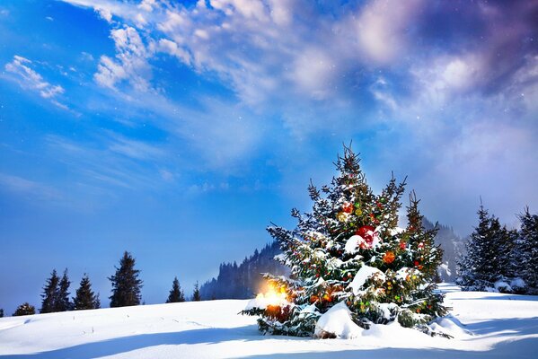 Árbol de Navidad vestido en el bosque