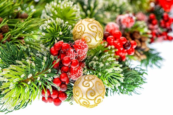 A branch of a fir tree in a rowan tree and festive balloons