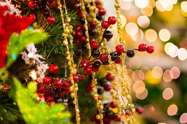 Ramo di decorazione rossa tra rami di abete rosso