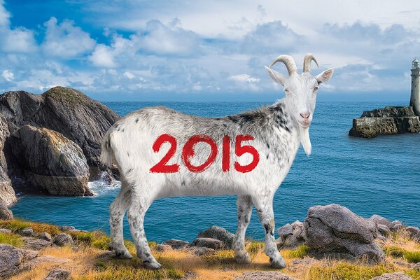 Symbol des neuen Jahres 2015 Ziege