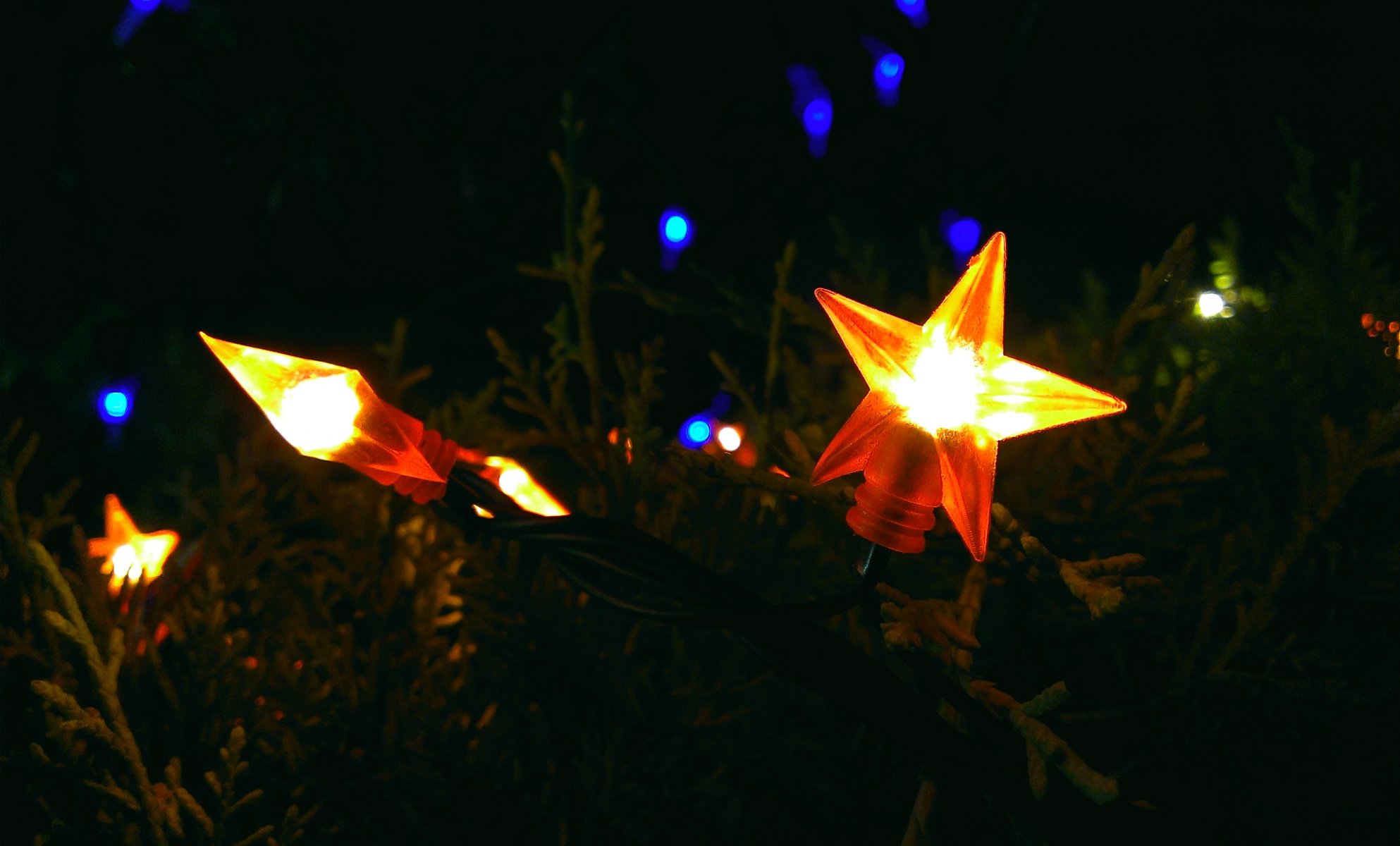 año nuevo estrella verde noche