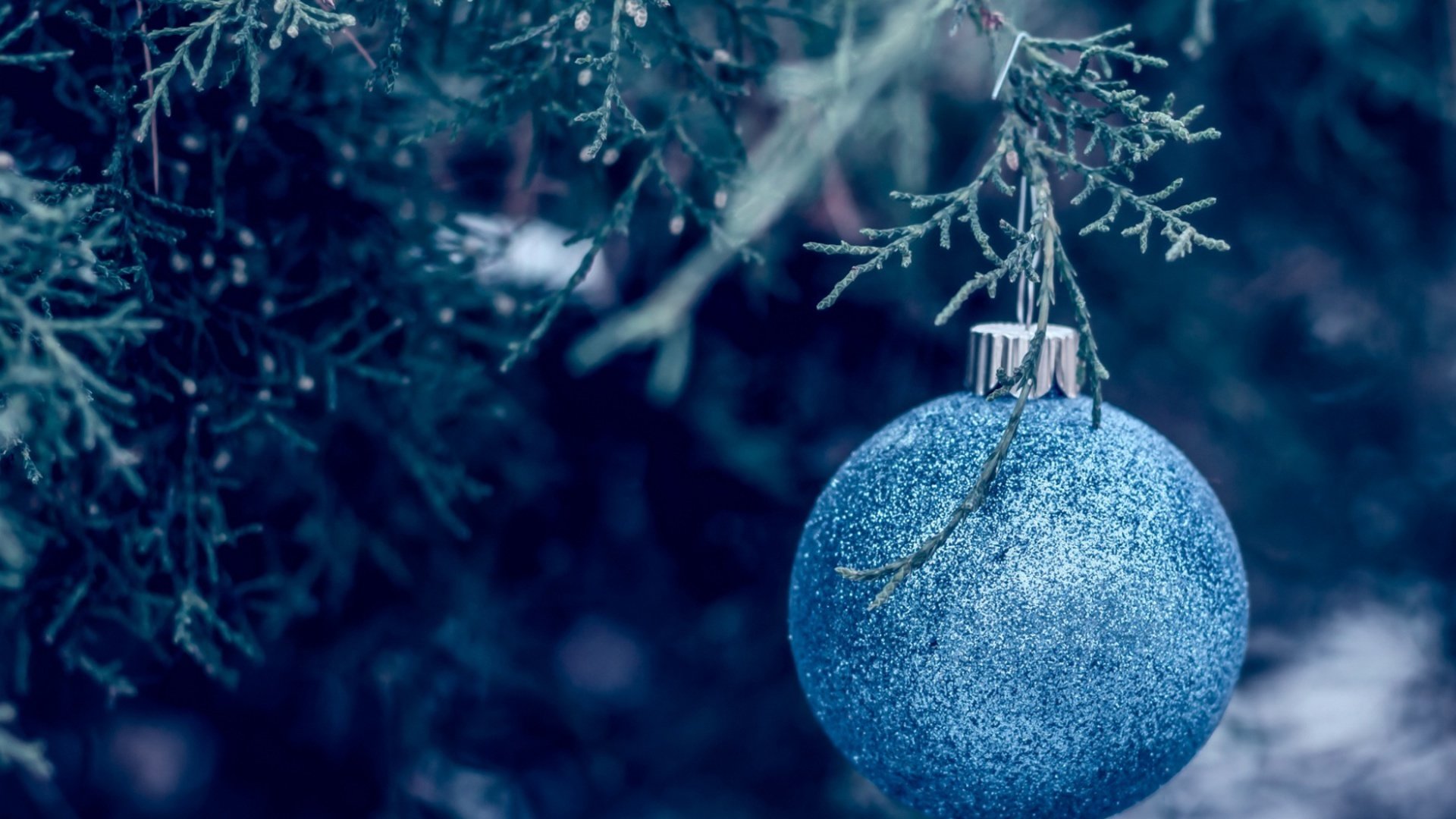 neujahr perle schmuck blau