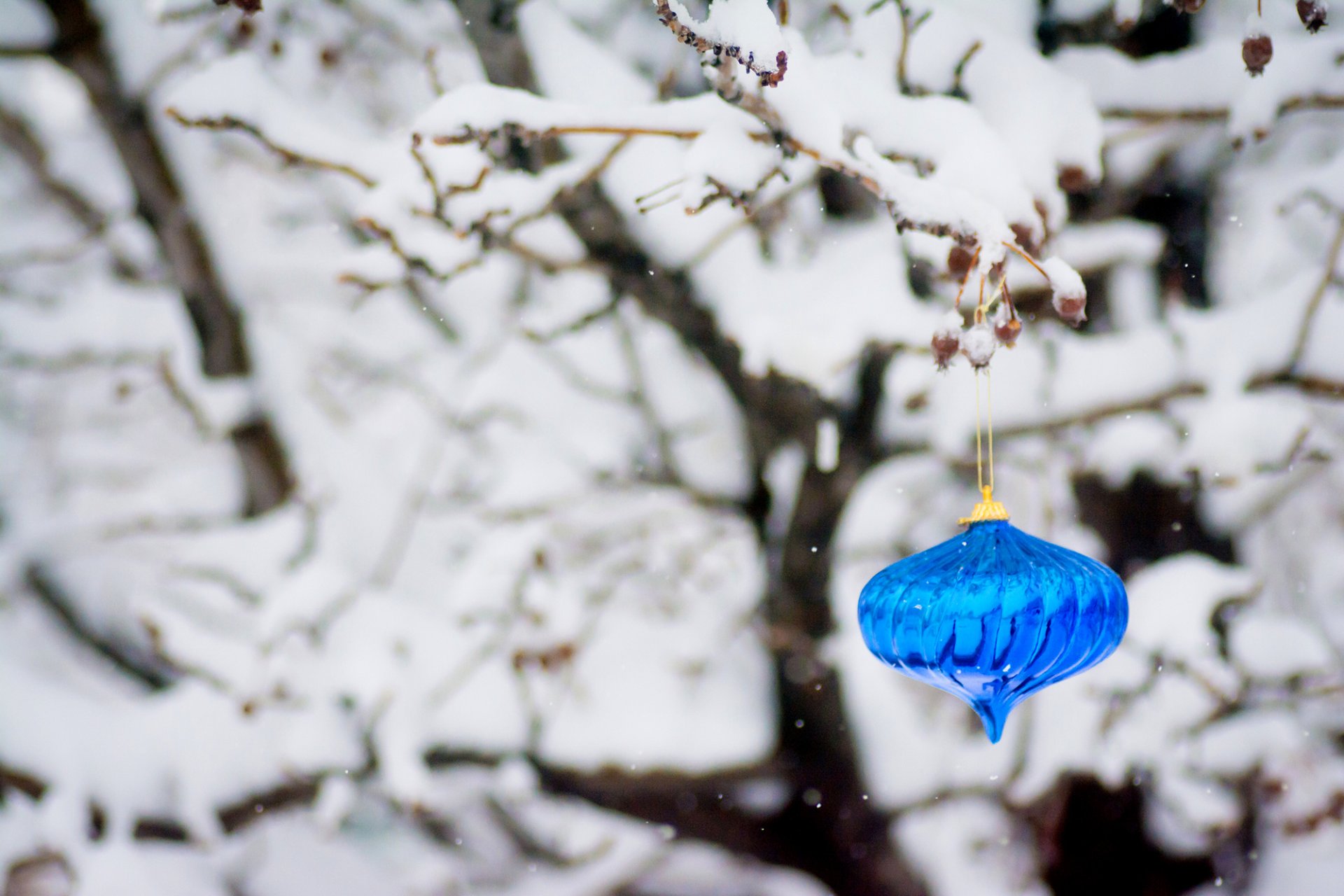 giocattolo albero di natale blu nuovo anno rami albero neve nuovo anno natale vacanze inverno