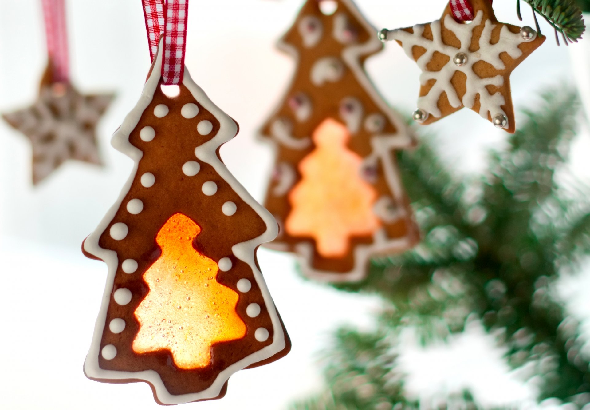 biscuits nouvel an figurines arbres de noël chevrons étoiles cuisson bonbons branches nouvel an noël vacances