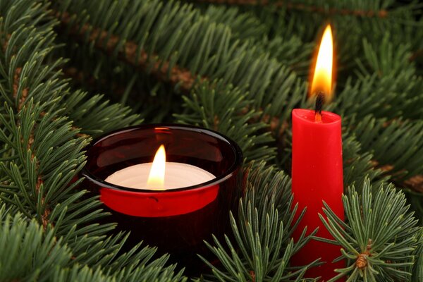 Candles in a fir tree with lighted wicks