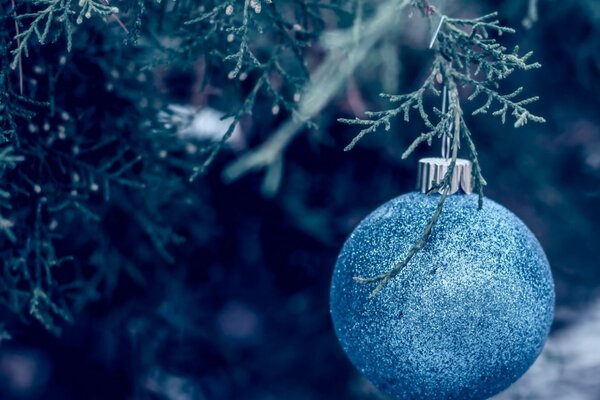 Bola de Navidad azul en el árbol de Navidad