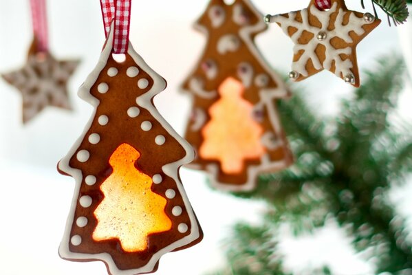 Biscotti allo zenzero a forma di albero di Natale e Stella