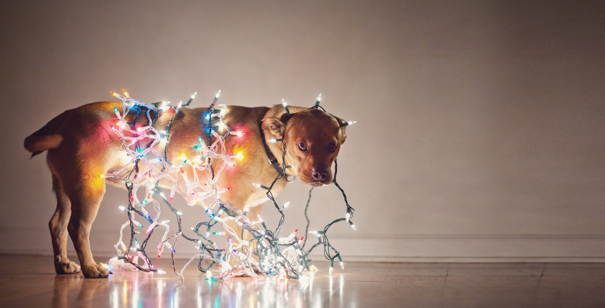 dog garland holiday bulb