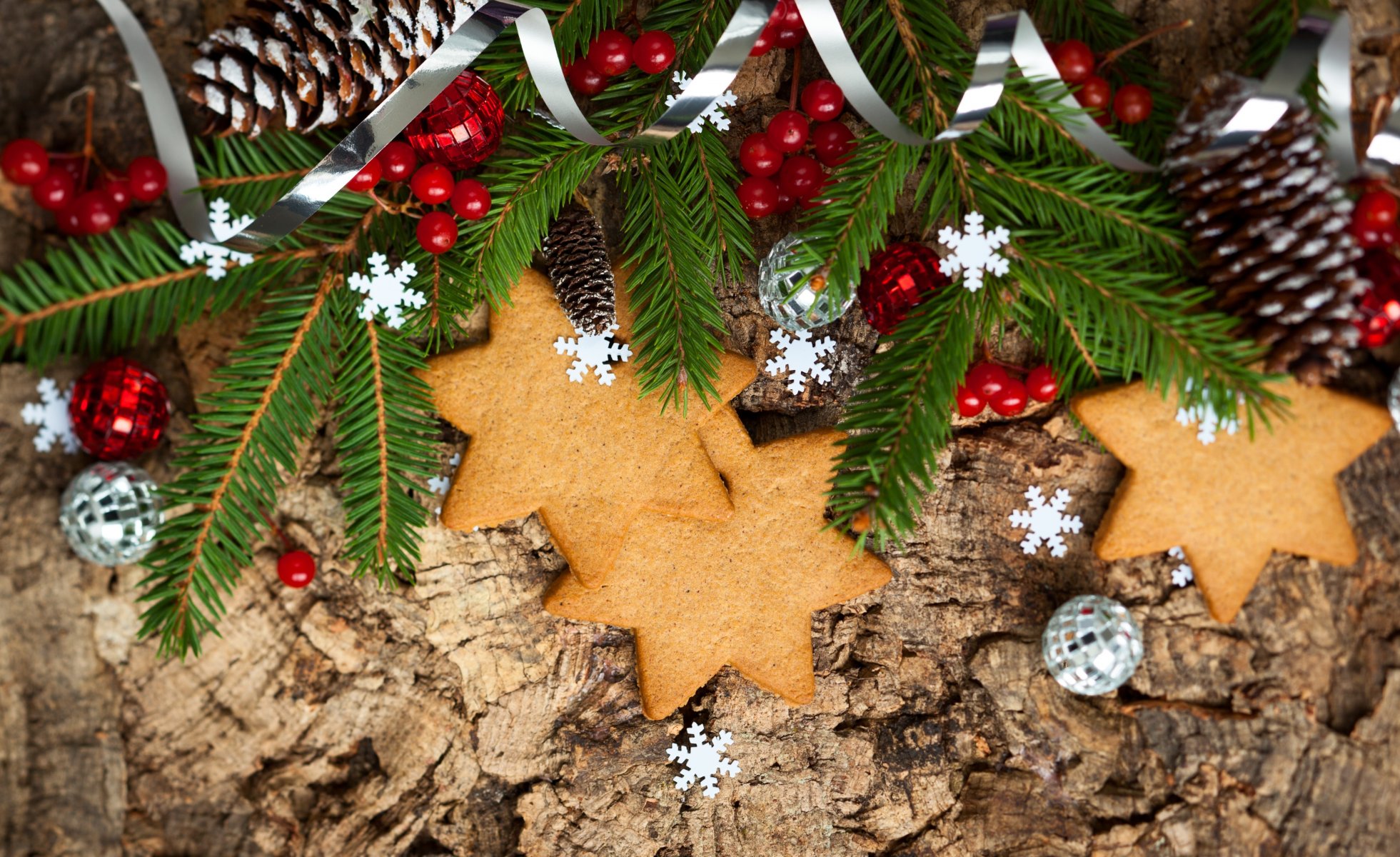 biscuits étoiles branche sapin cônes baies boules nouvel an noël vacances