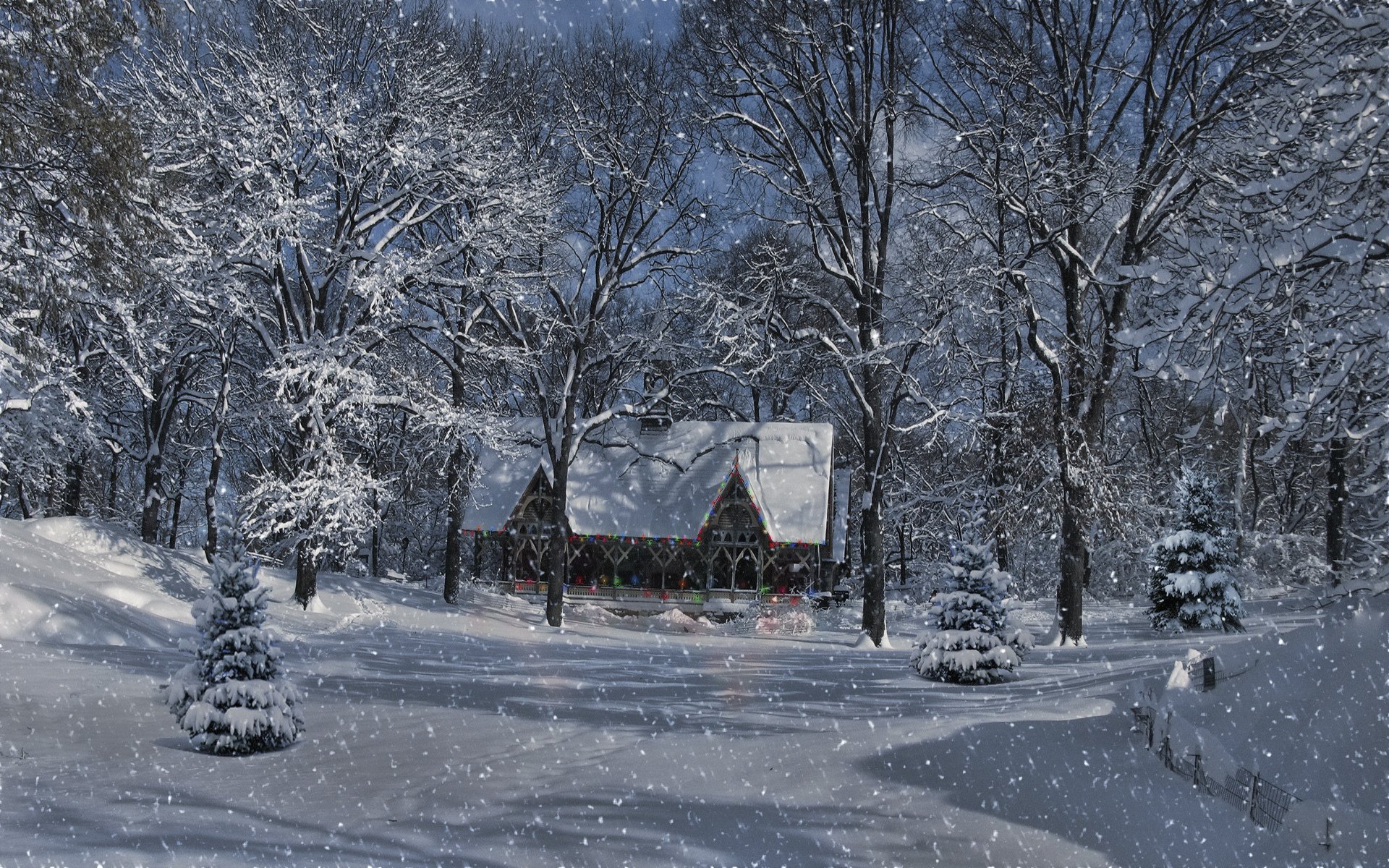 paisaje bosque nieve invierno casa luces bombillas árboles