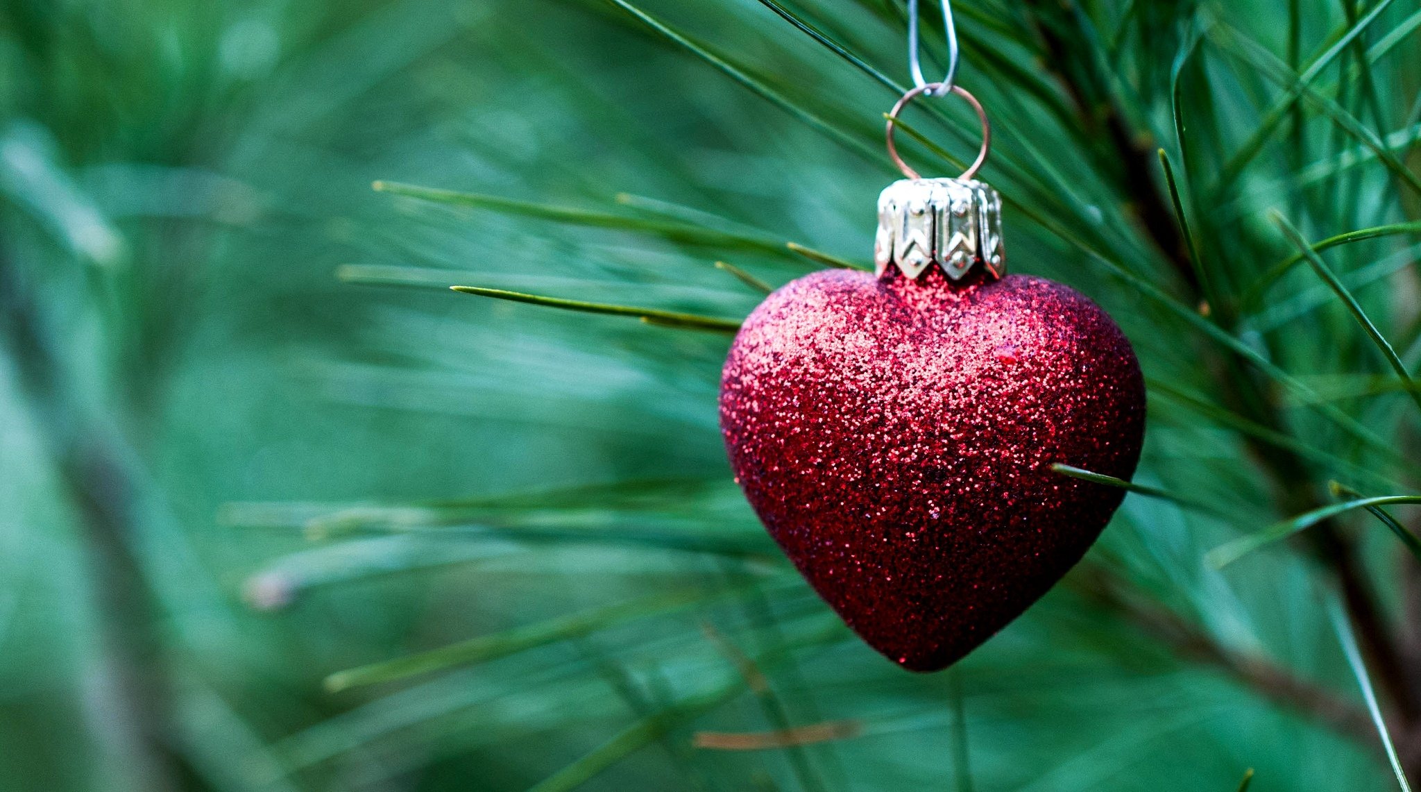 juguete año nuevo corazón corazón rojo rama agujas abeto vacaciones decoración año nuevo navidad