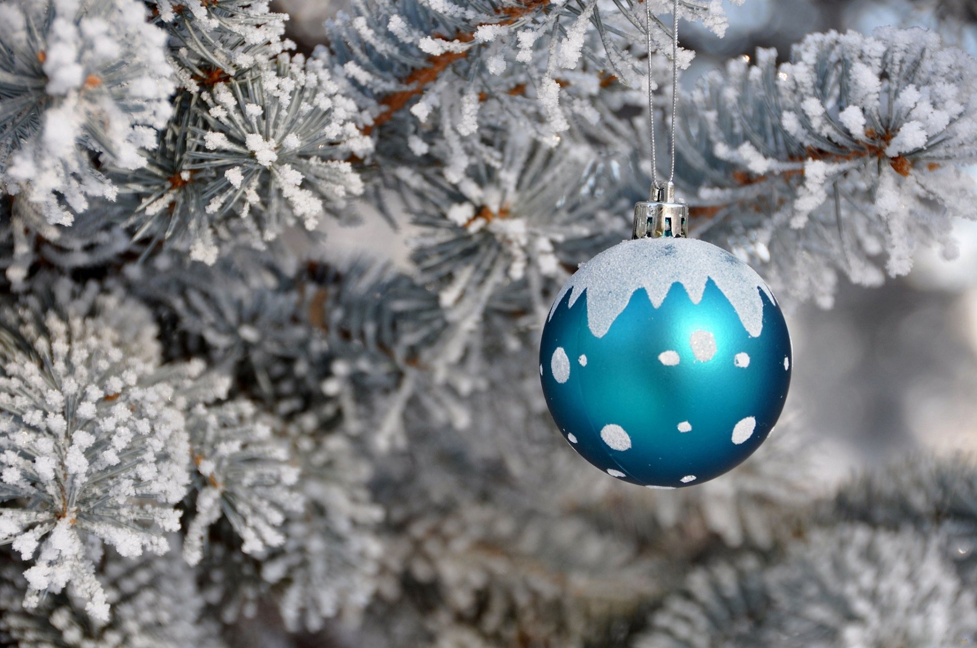 weihnachtsbaum schnee urlaub neujahr ball spielzeug