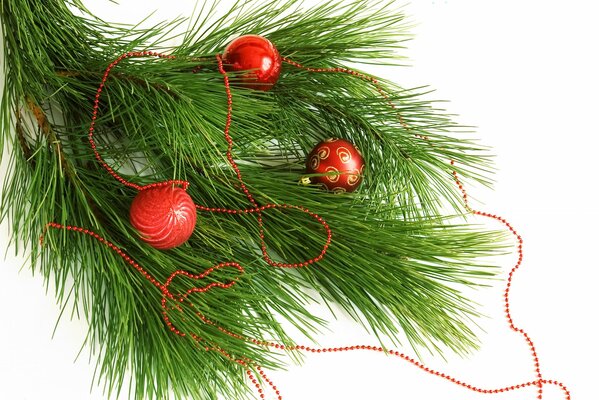 Branche de pin de Noël avec des boules