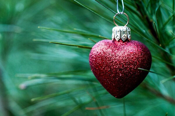 Giocattolo di Natale-cuore sull abete rosso