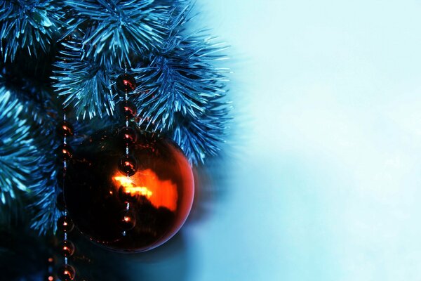 Red ball on blue spruce