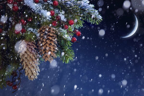 Conos de abeto en un árbol de Navidad con copos de nieve