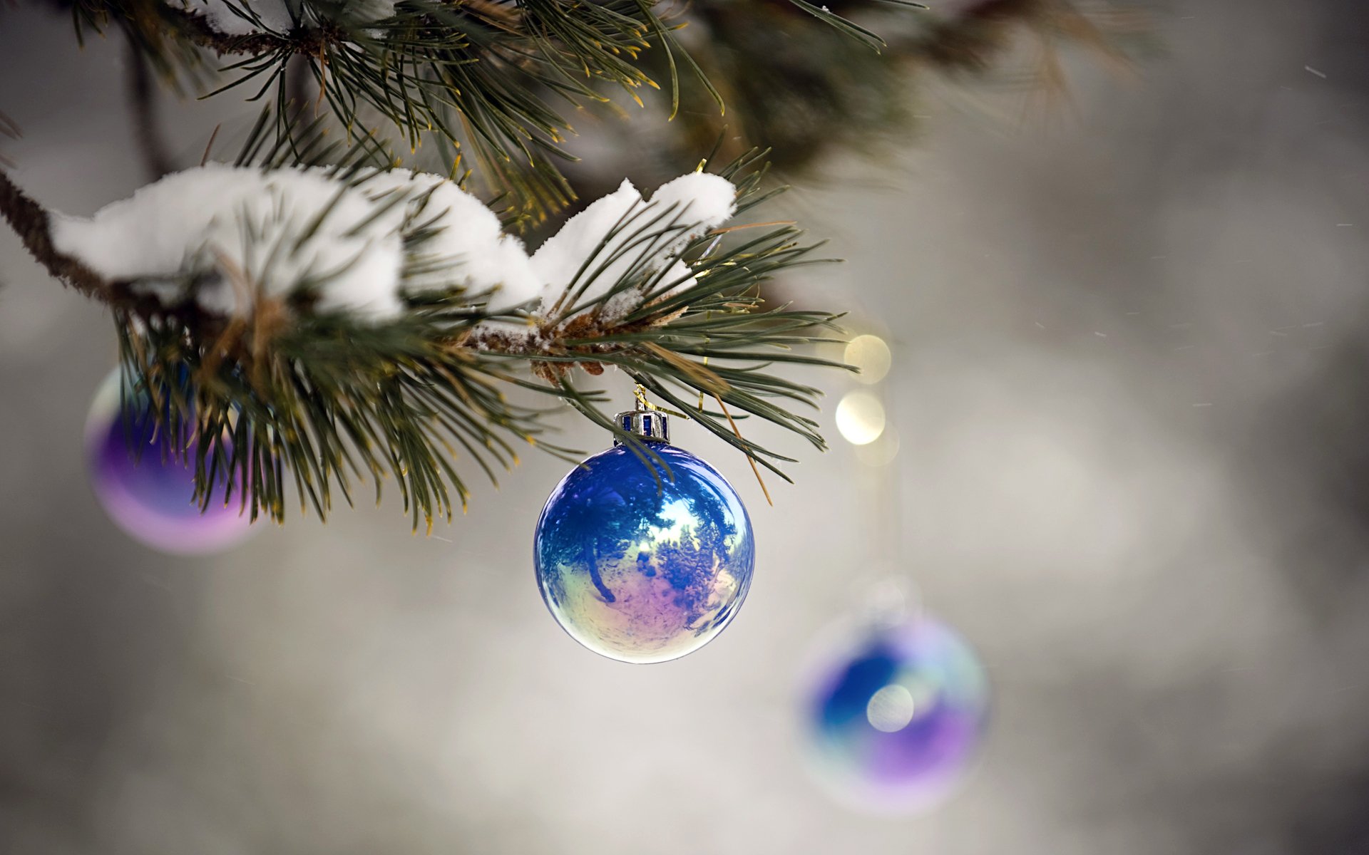 vacances nouvel an boules de noël bleu brillant macro branche neige