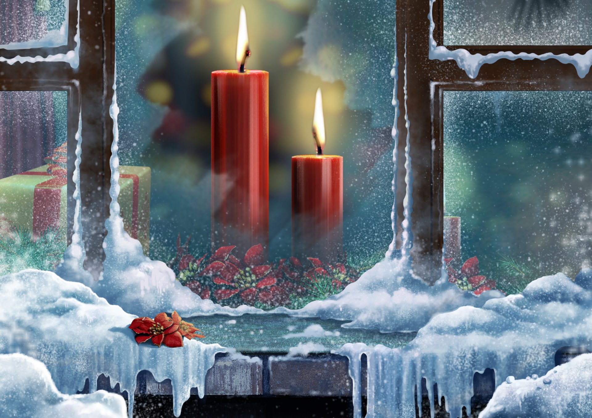 bellezza scatola di candela di natale colorato di colore fresco fiore regalo felice anno nuovo vacanza carino buon natale bella stella di natale bella neve finestra inverno bella nuovo anno raffreddare i fiori