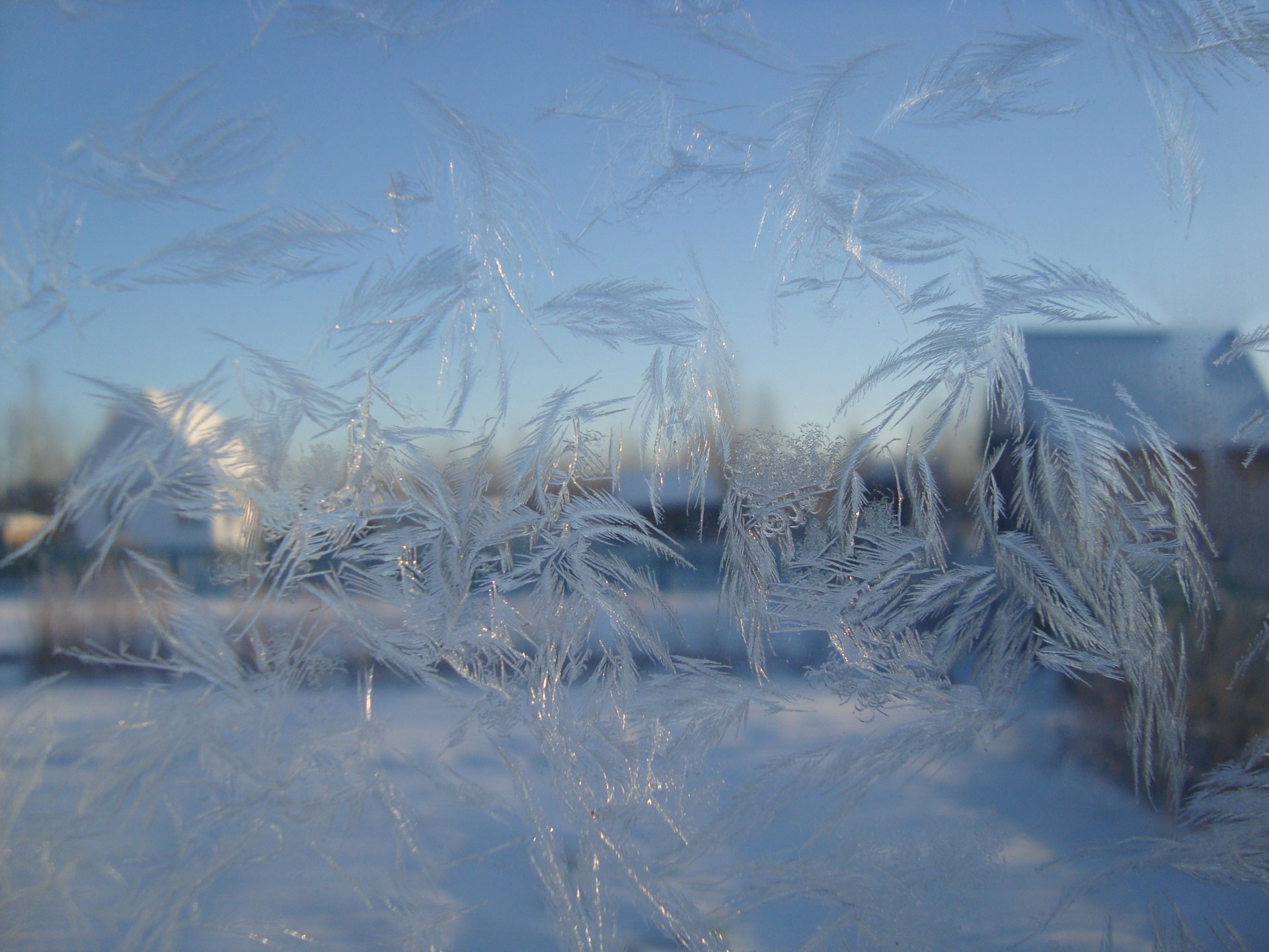 frost muster glas eis