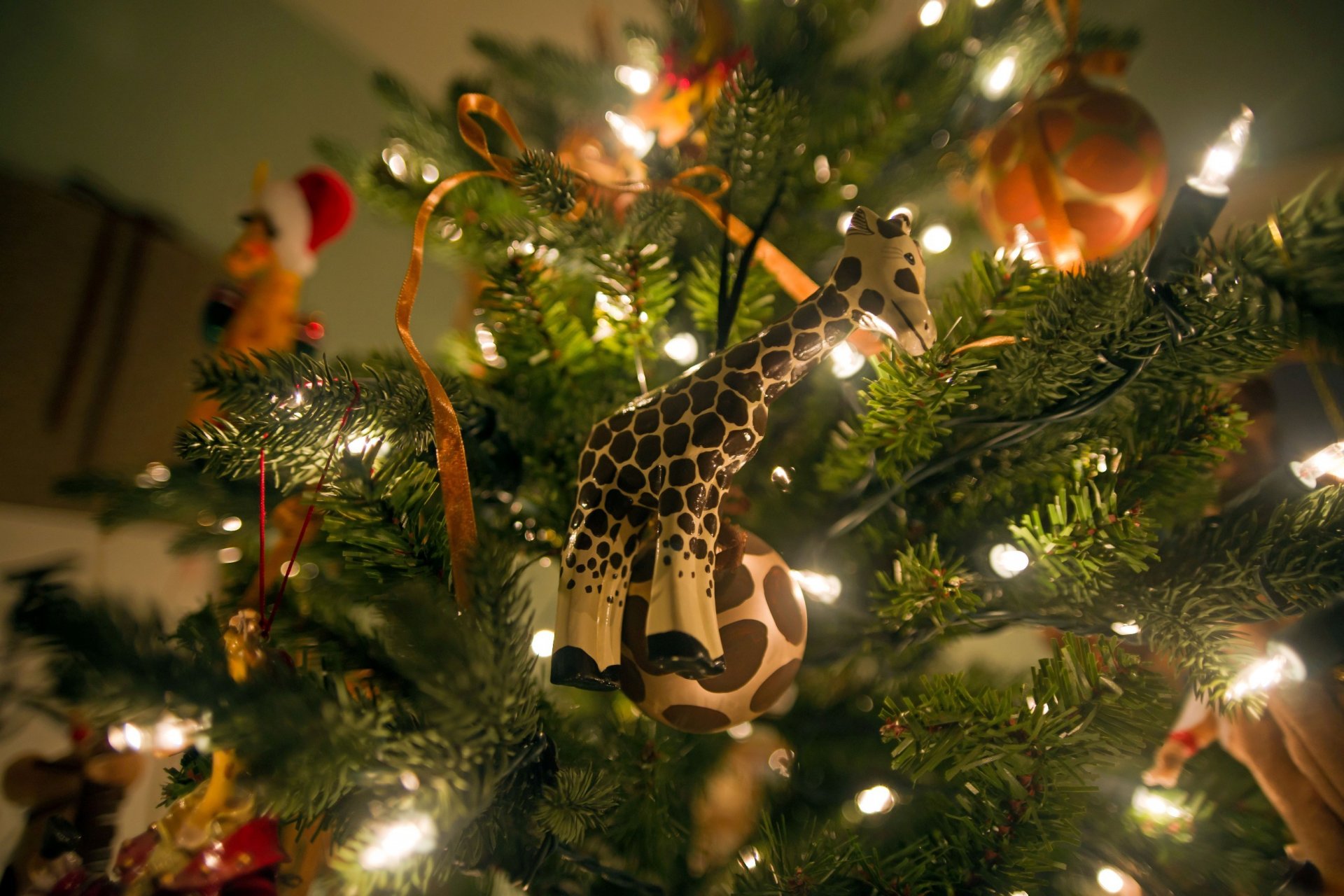 urlaub neujahr stimmung weihnachtsbaum lichter girlande spielzeug