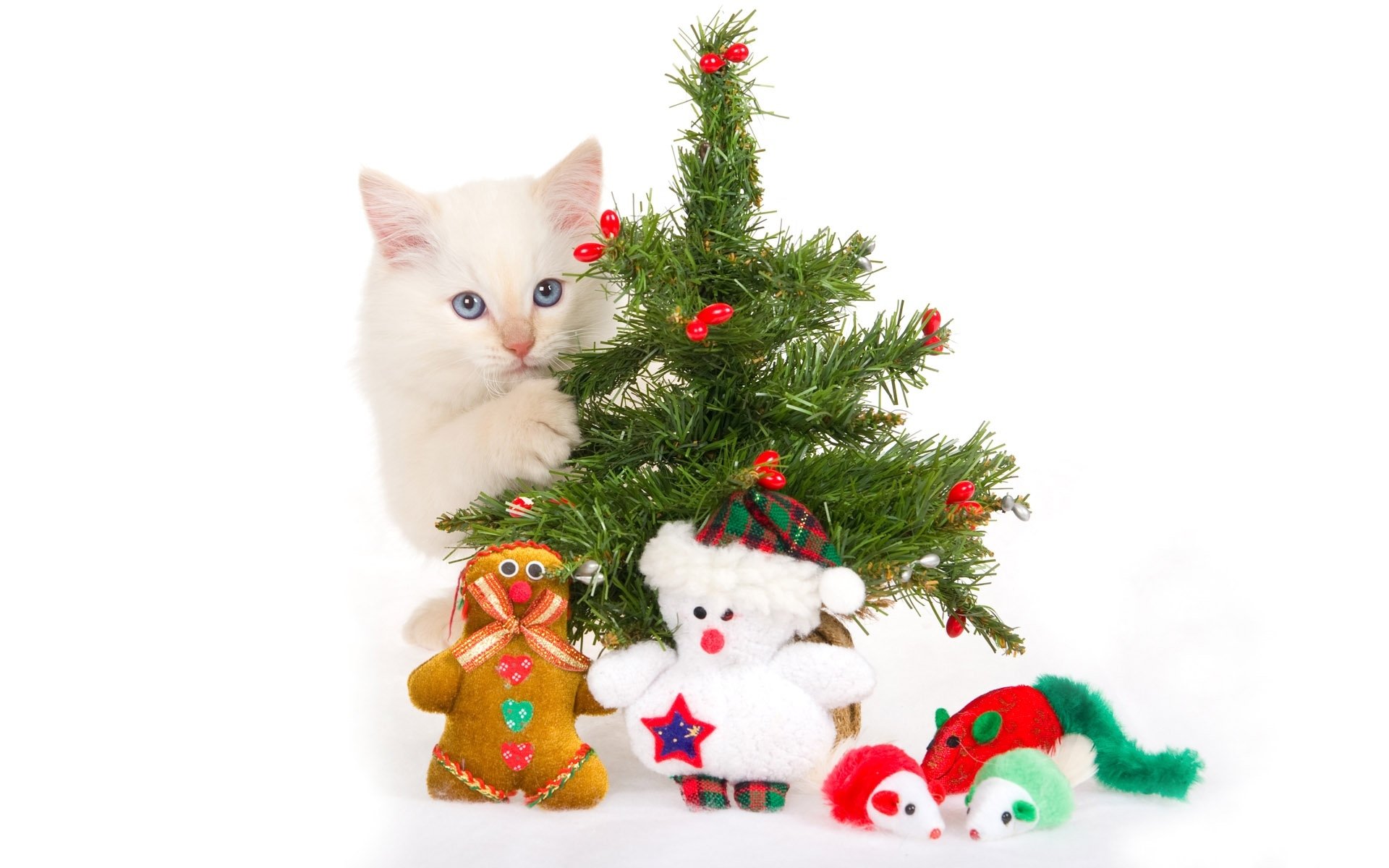 kitten christmas tree toys souvenirs white background