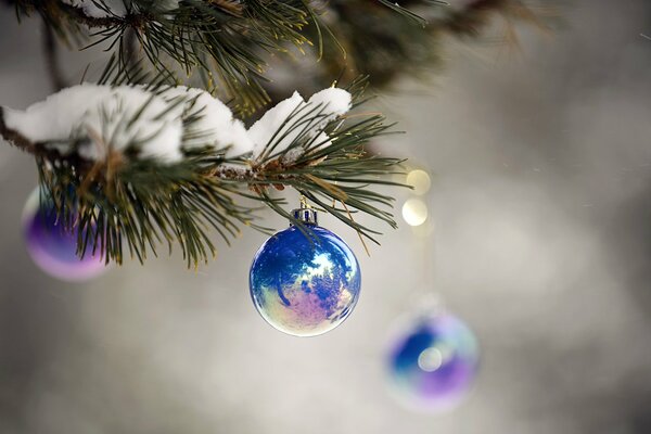 Palline di Natale lucide blu su un ramo