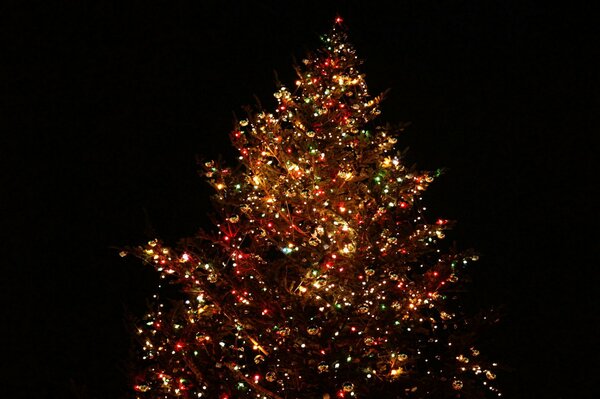 Árbol de Navidad en el vestido de año nuevo