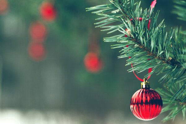 Rotes Weihnachtsbaum-Spielzeug auf einem Ast