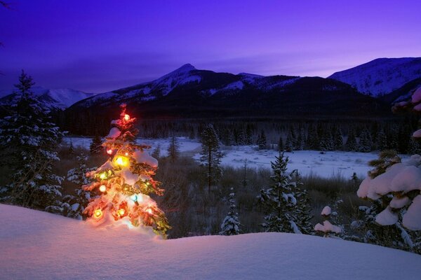 Un albero di Natale in strada nella neve