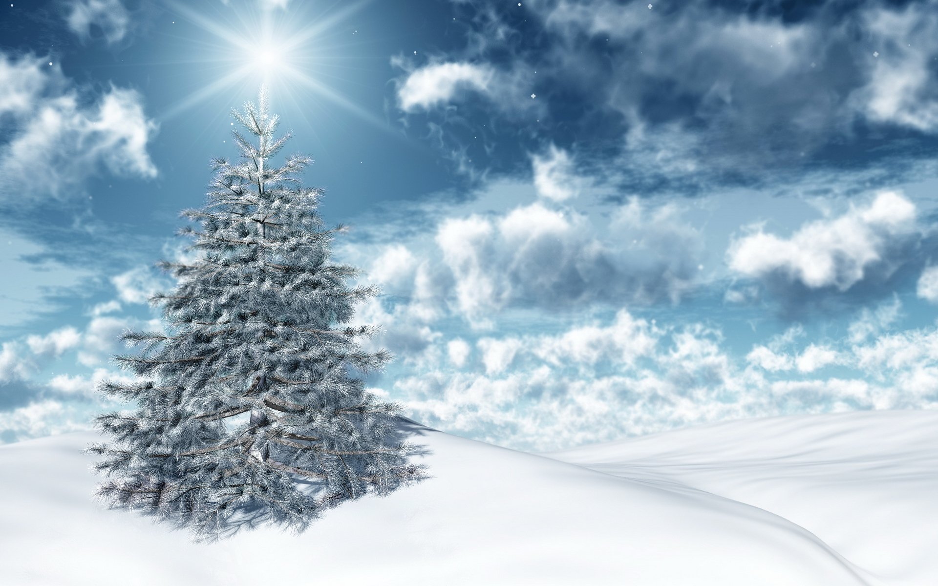 holiday new year winter snow spruce light sun sky clouds winter