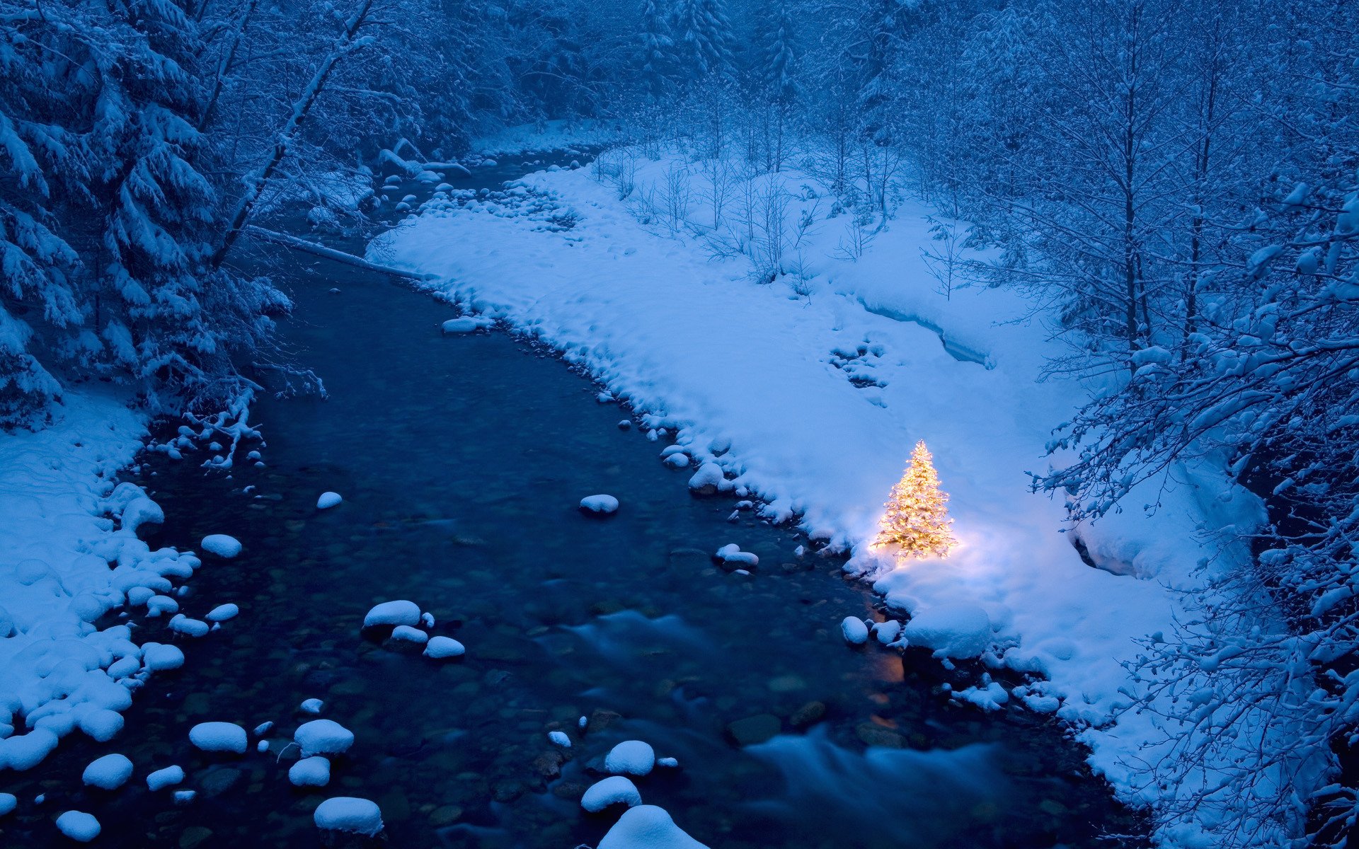 inverno foresta fiume capodanno ghirlanda