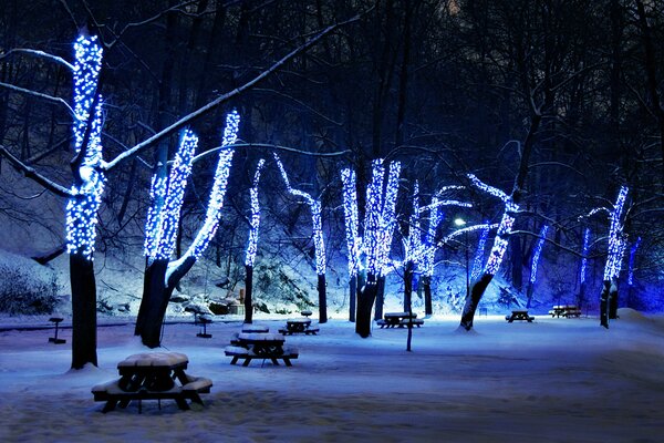 Alberi in ghirlande in una notte nevosa