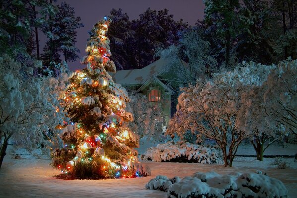 Weihnachtsbaum mit Girlande. die Nacht