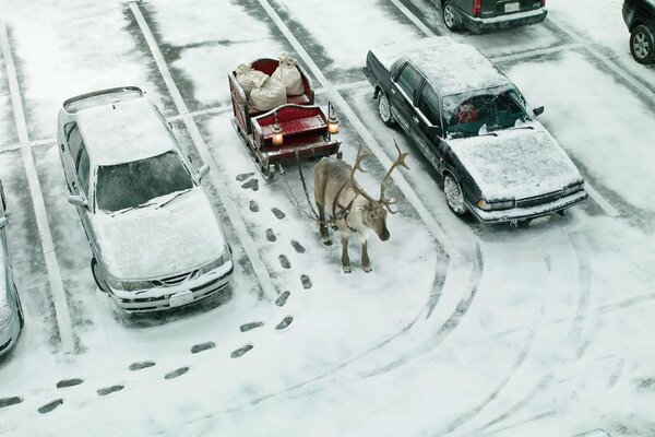 Autos und Straßen sind mit Schnee bedeckt