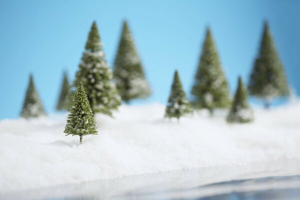 Piccoli alberi di Natale sulla neve