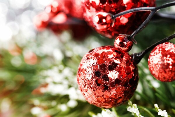 Red shiny balls on the Christmas tree