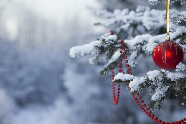 Snow fairy tale with a red Christmas ball