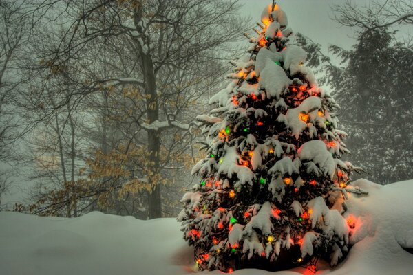 A Christmas tree in garlands stands in the forest