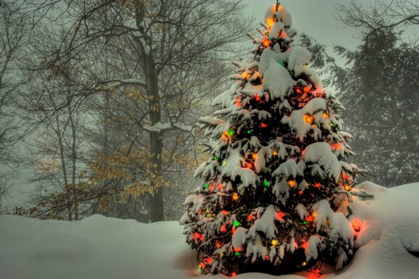 Arbre de Noël en guirlandes debout dans la forêt