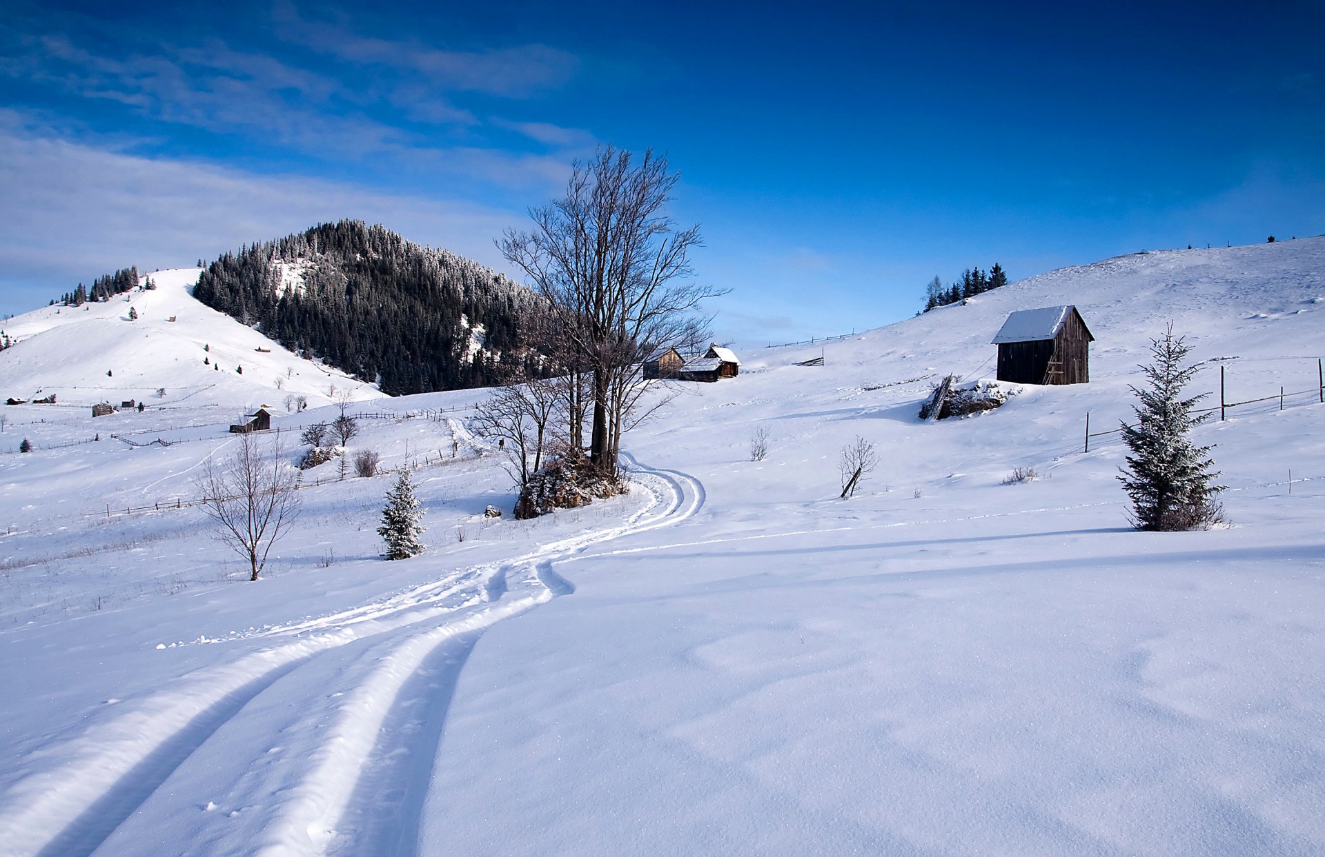 cielo cabaña pista invierno nieve pendiente montañas bosque árboles