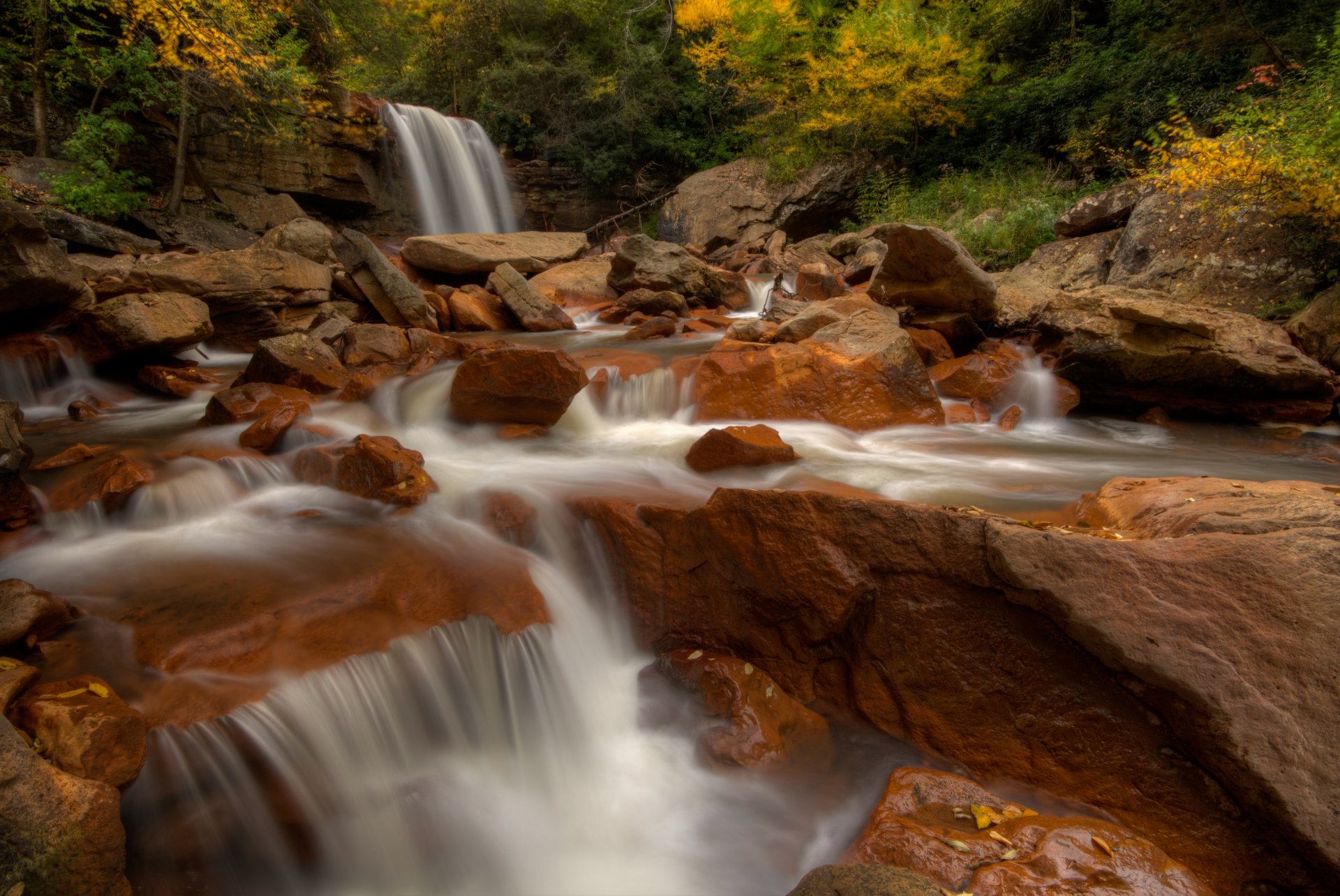 douglas falls blackwater fiume west virginia douglas falls blackwater fiume virginia dell ovest cascata fiume pietre autunno