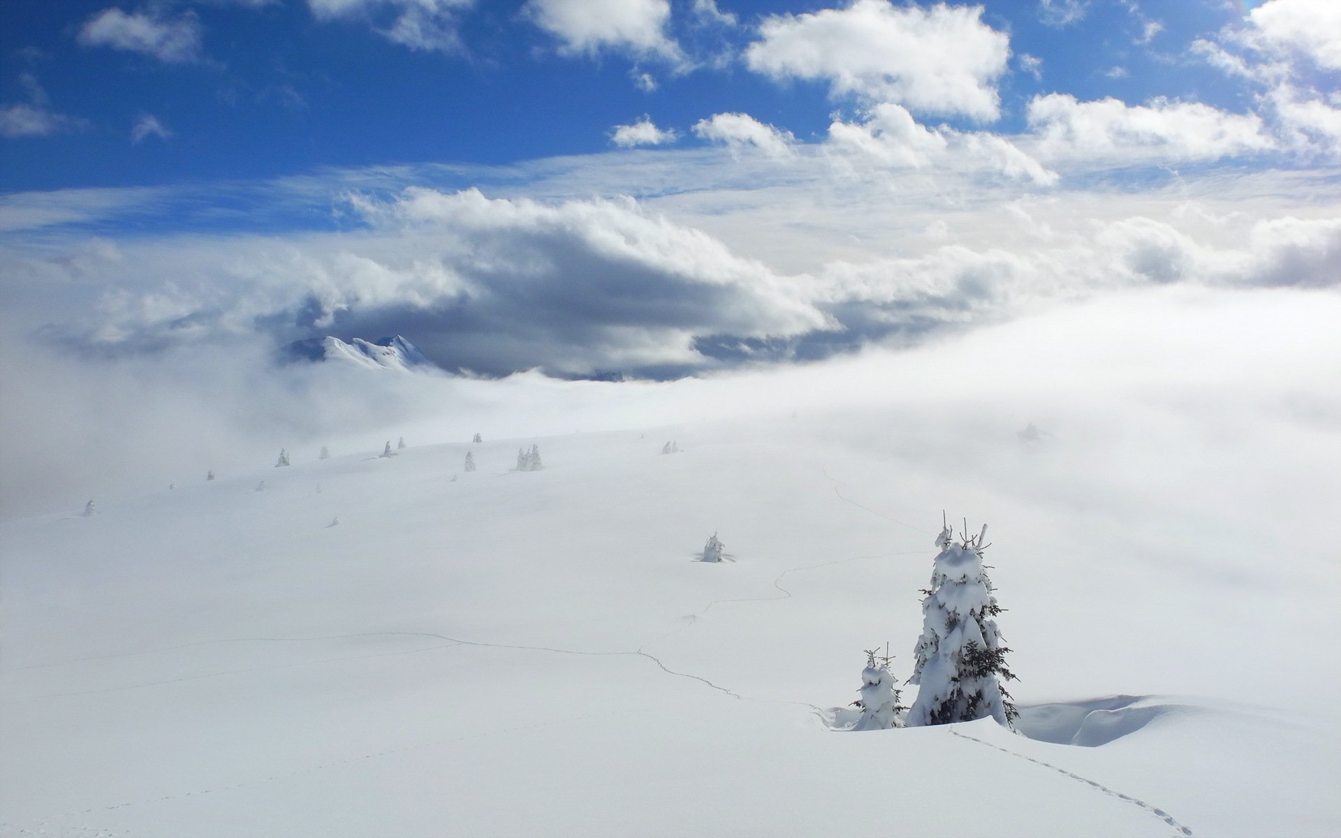 invierno nieve paisaje