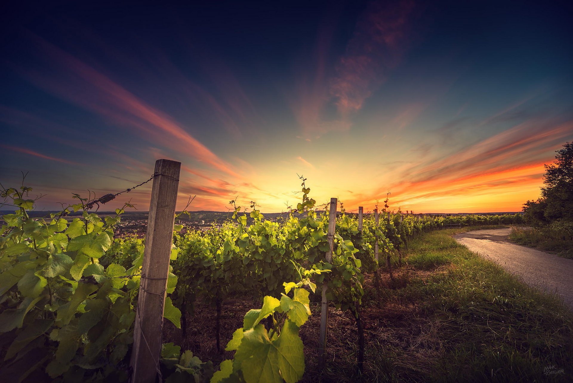 sonnenuntergang weinberg landschaft natur