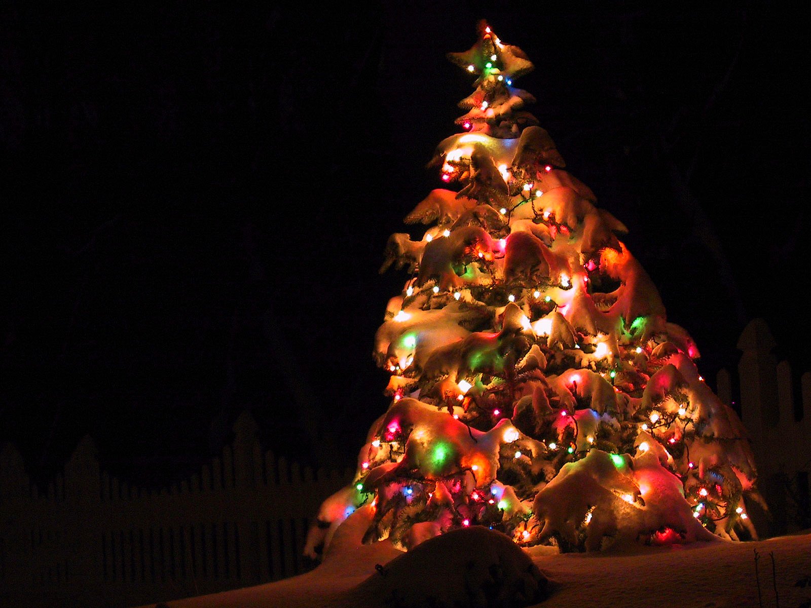 nouvel an arbre de noël décoration lumières nuit