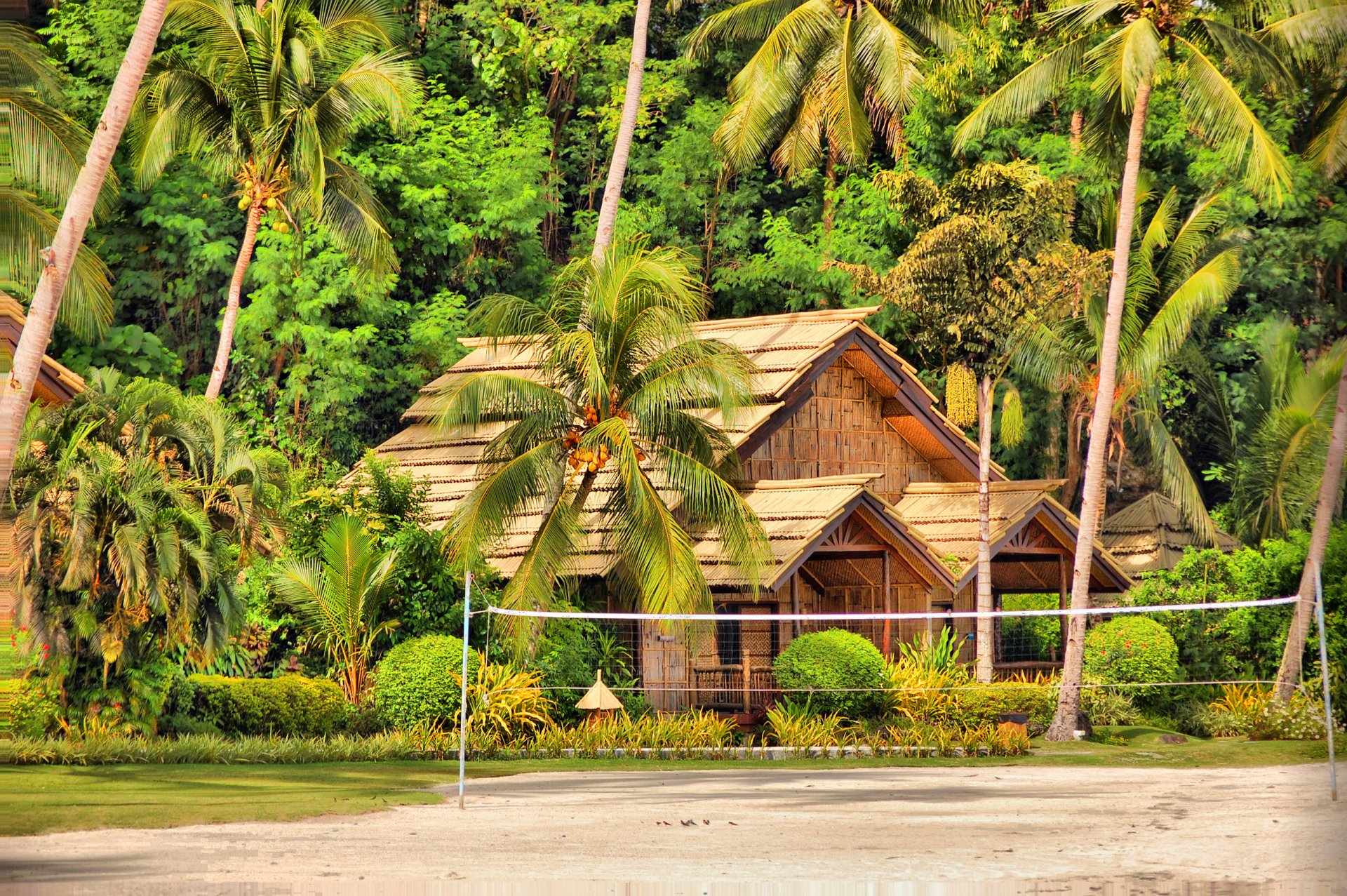 samal philippines île palmiers maison cabane bungalow